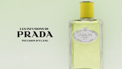 Prada Infusion D'Ylang Eau de Parfum Femme 100 ml