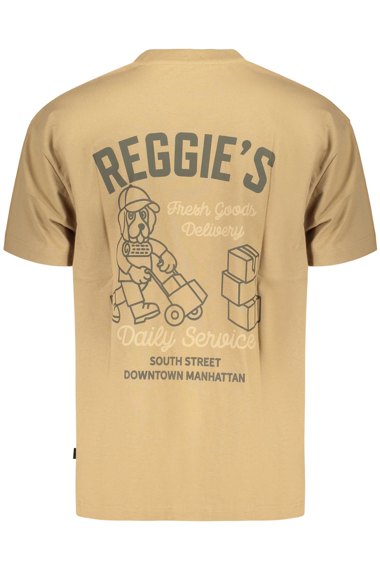 REFRIGIWEAR MEN'S SHORT-SLEEVE T-SHIRT, BROWN
