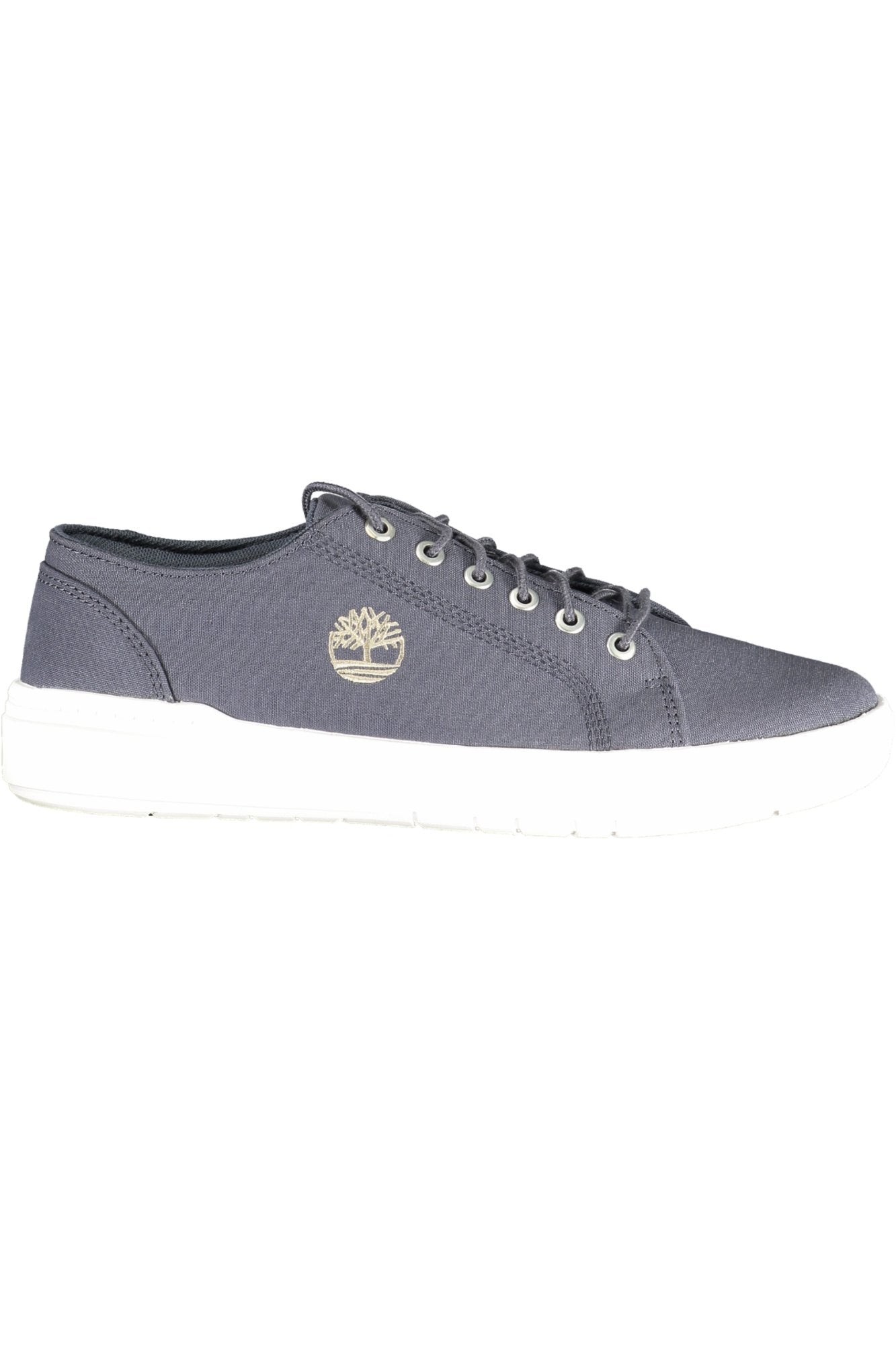 TIMBERLAND MEN'S BLUE SPORTS SHOES