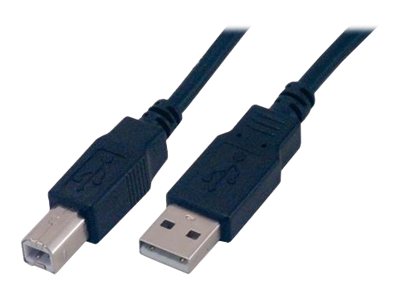 MCL Samar - Câble USB - USB à 4 broches, type B (M) pour USB (M) - 2 m - noir Super Promo PC